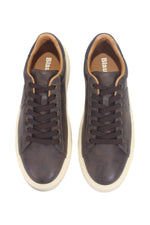 DARK BROWN/NAVY