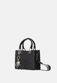 BLACK / SATIN SILVER