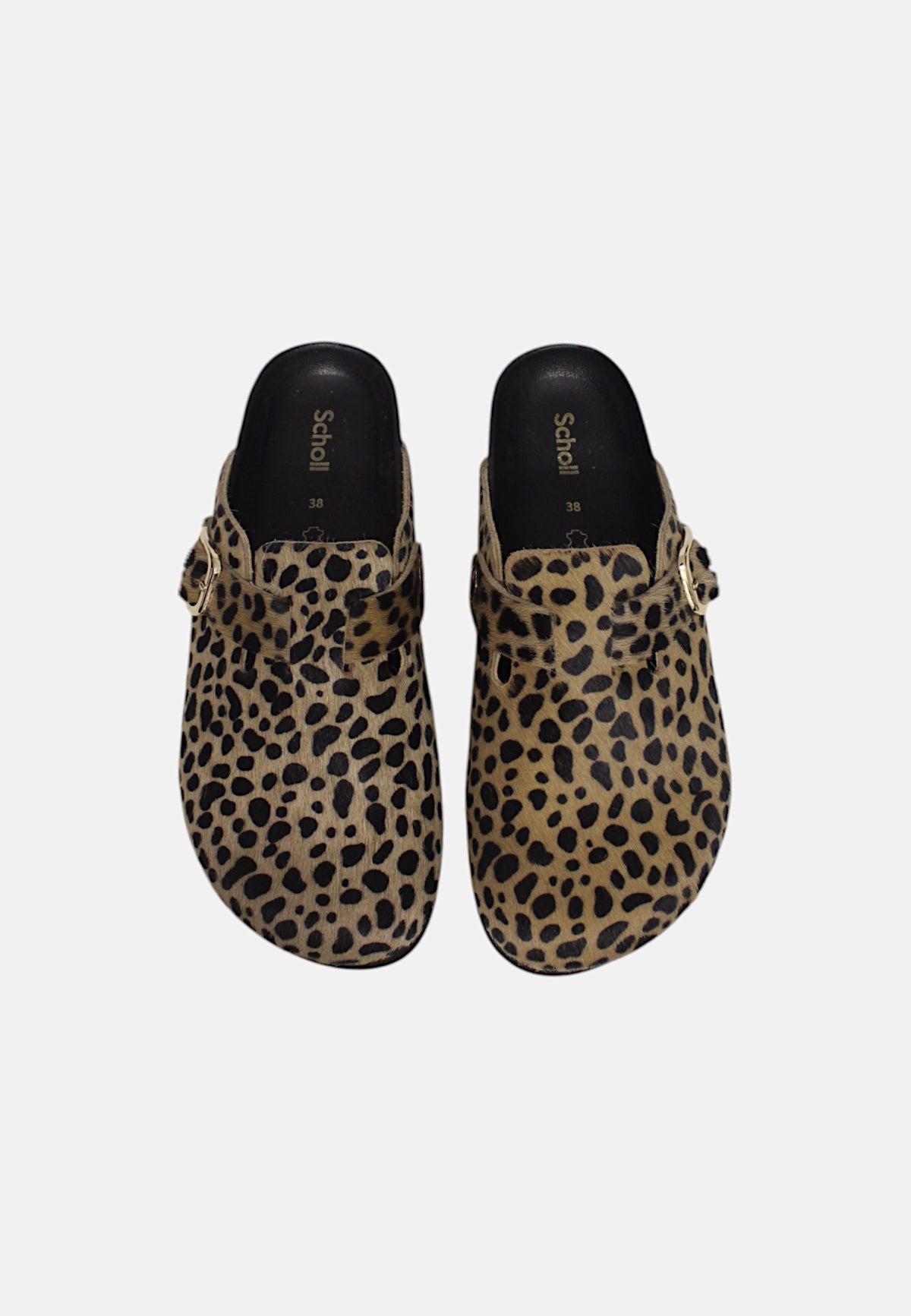 LEOPARD