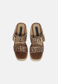 LEOPARD