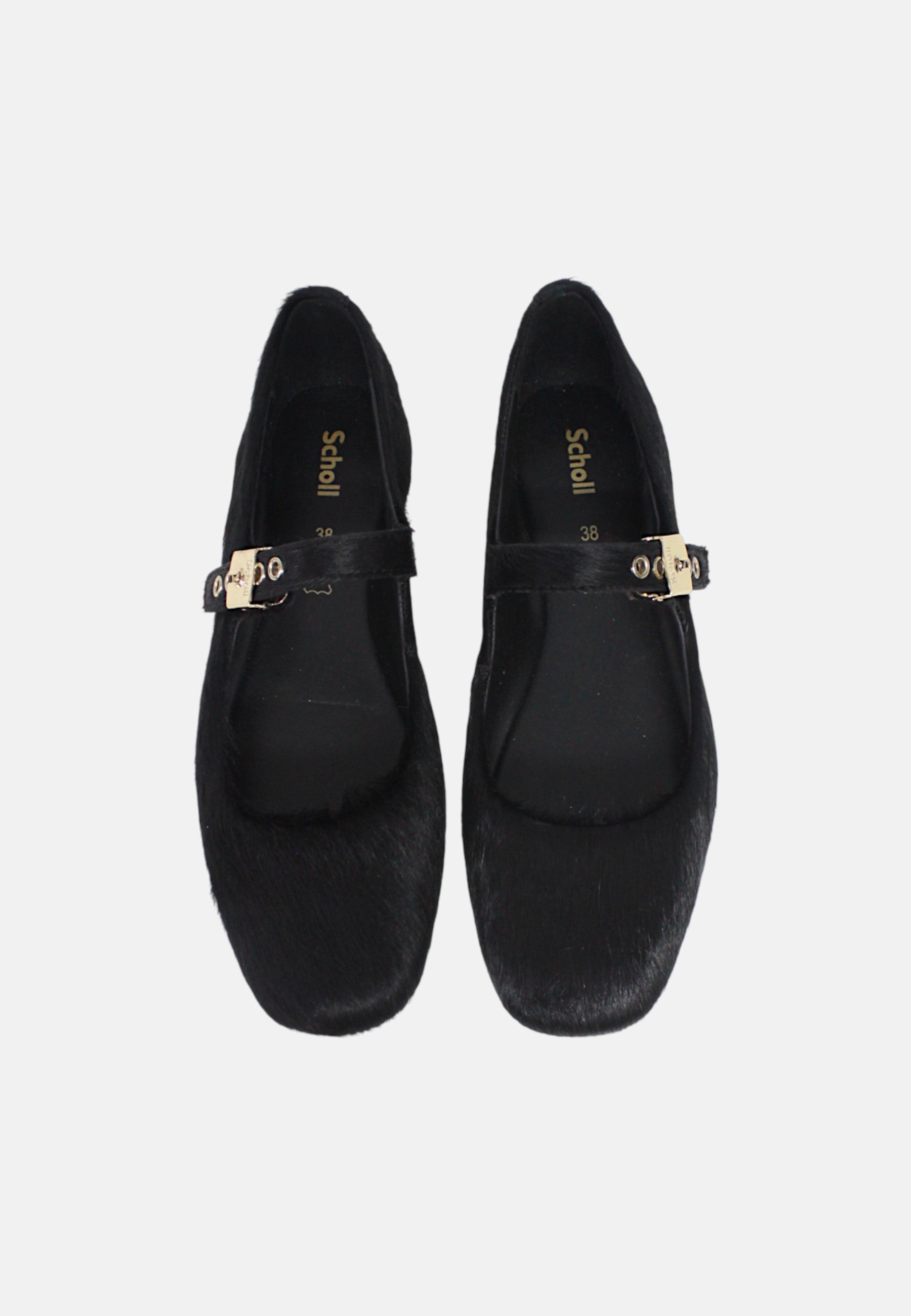 Ballerine Donna Scholl Black