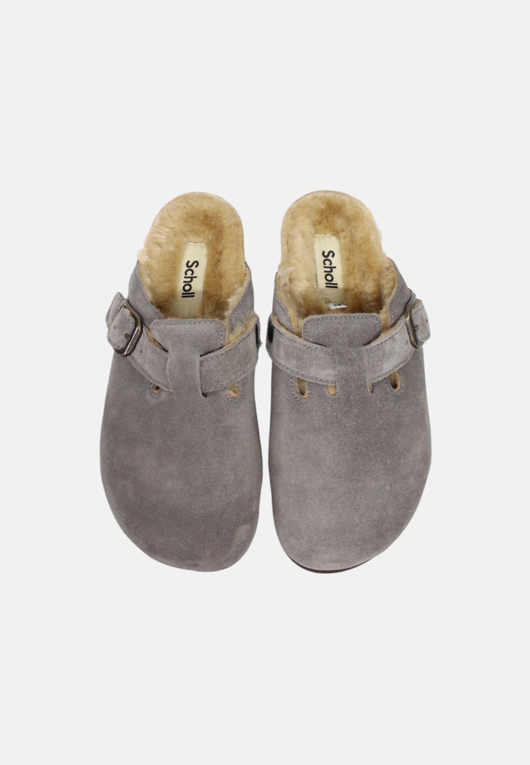 Sabot Donna Scholl Grey