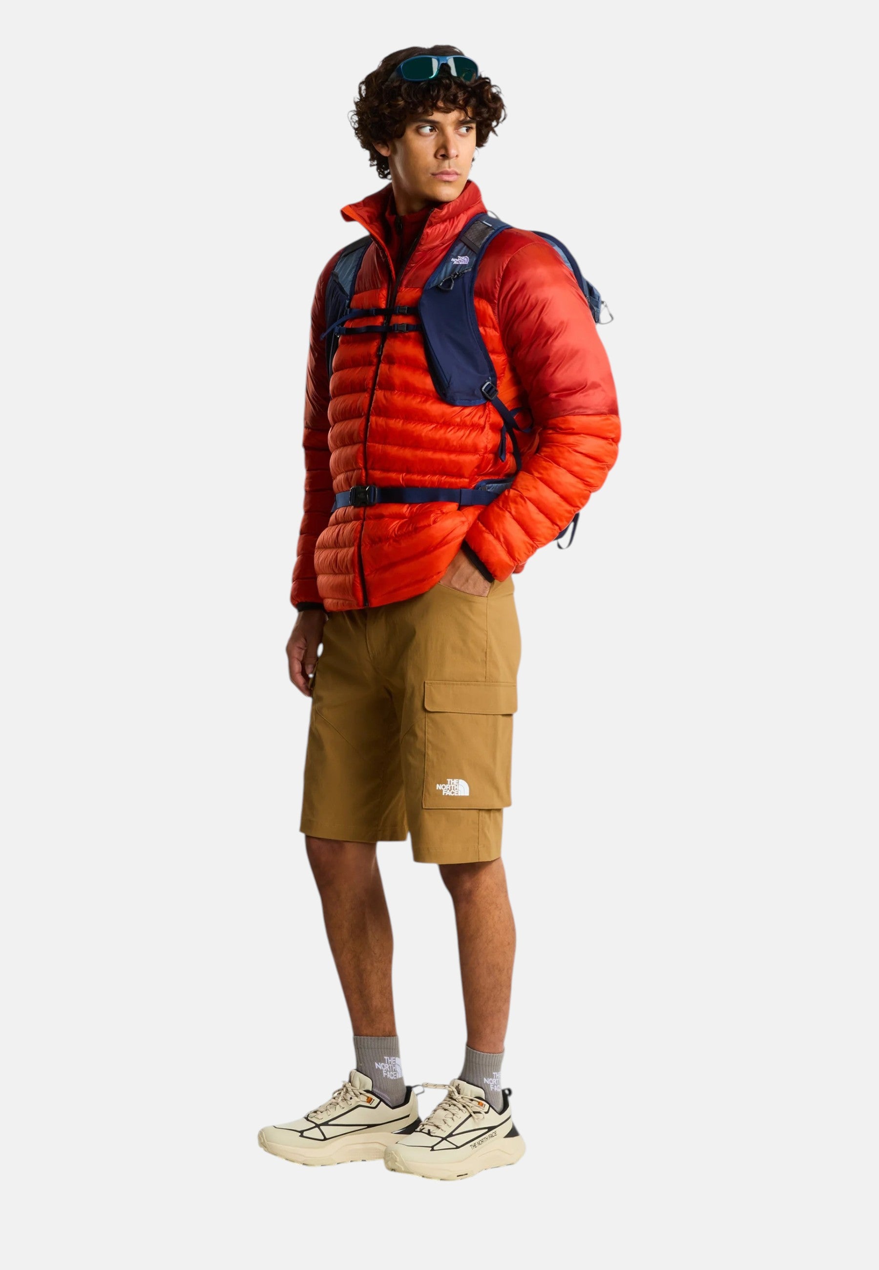 Pantaloncini cargo Uomo The North Face Brown