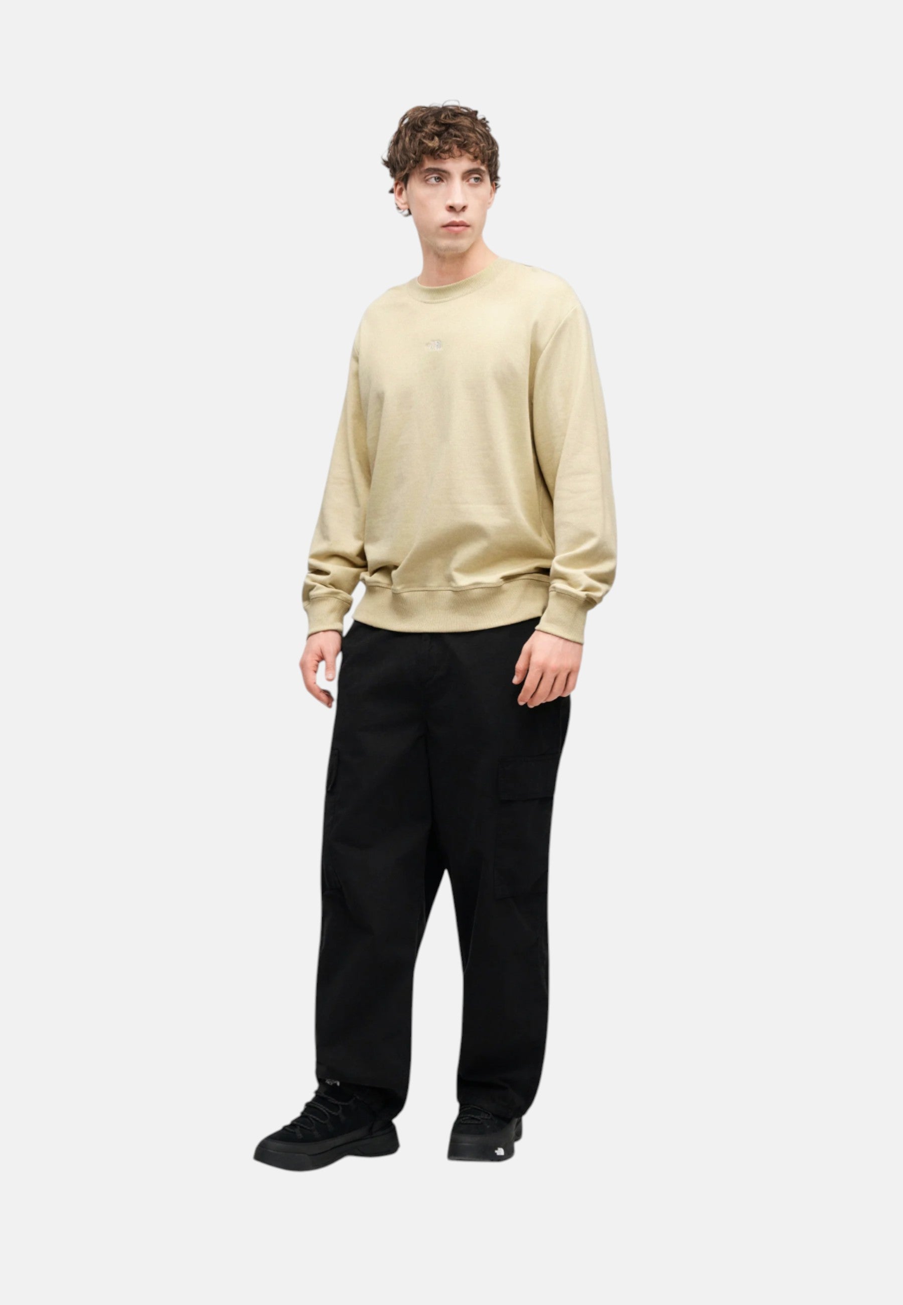 Felpa Uomo The North Face Stone
