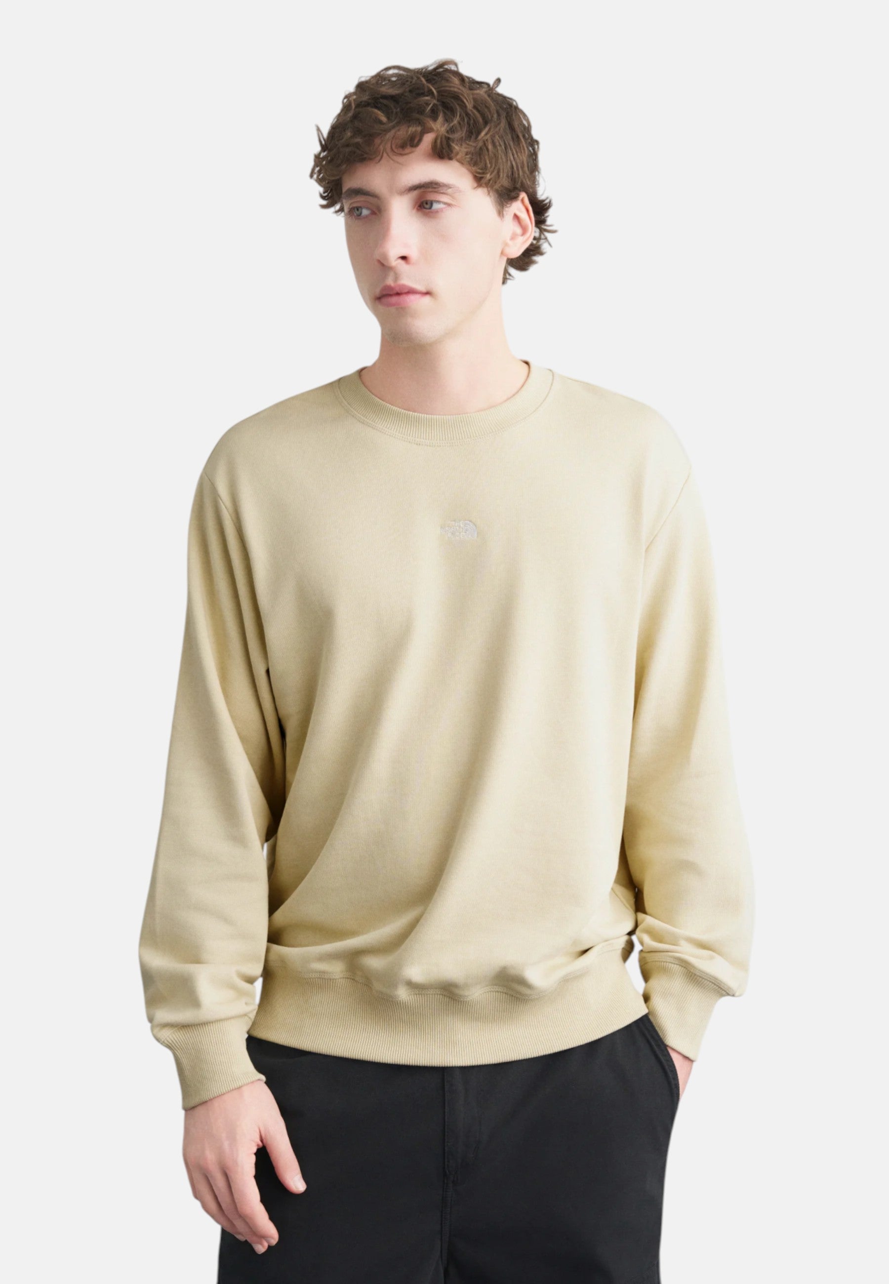 Felpa Uomo The North Face Stone