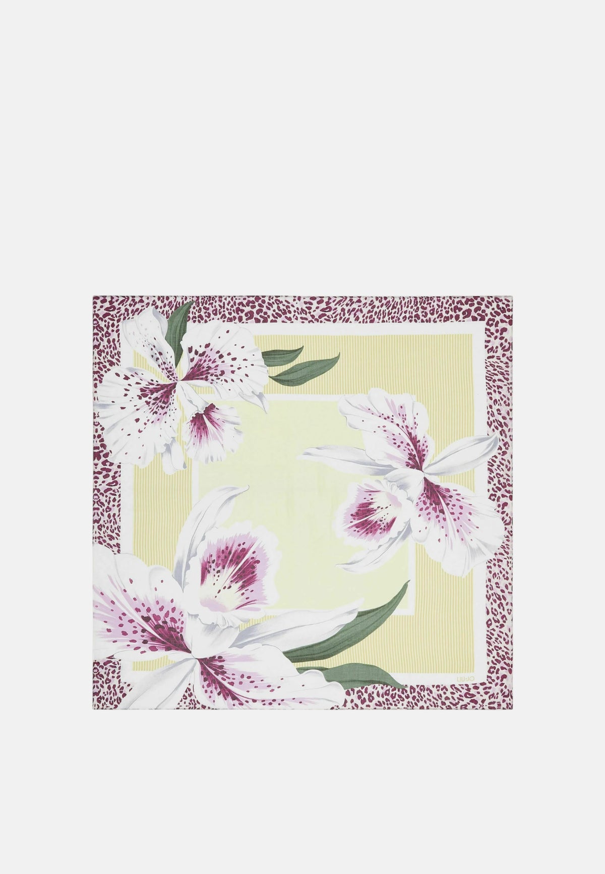 Foulard Donna Liu Jo Avocado