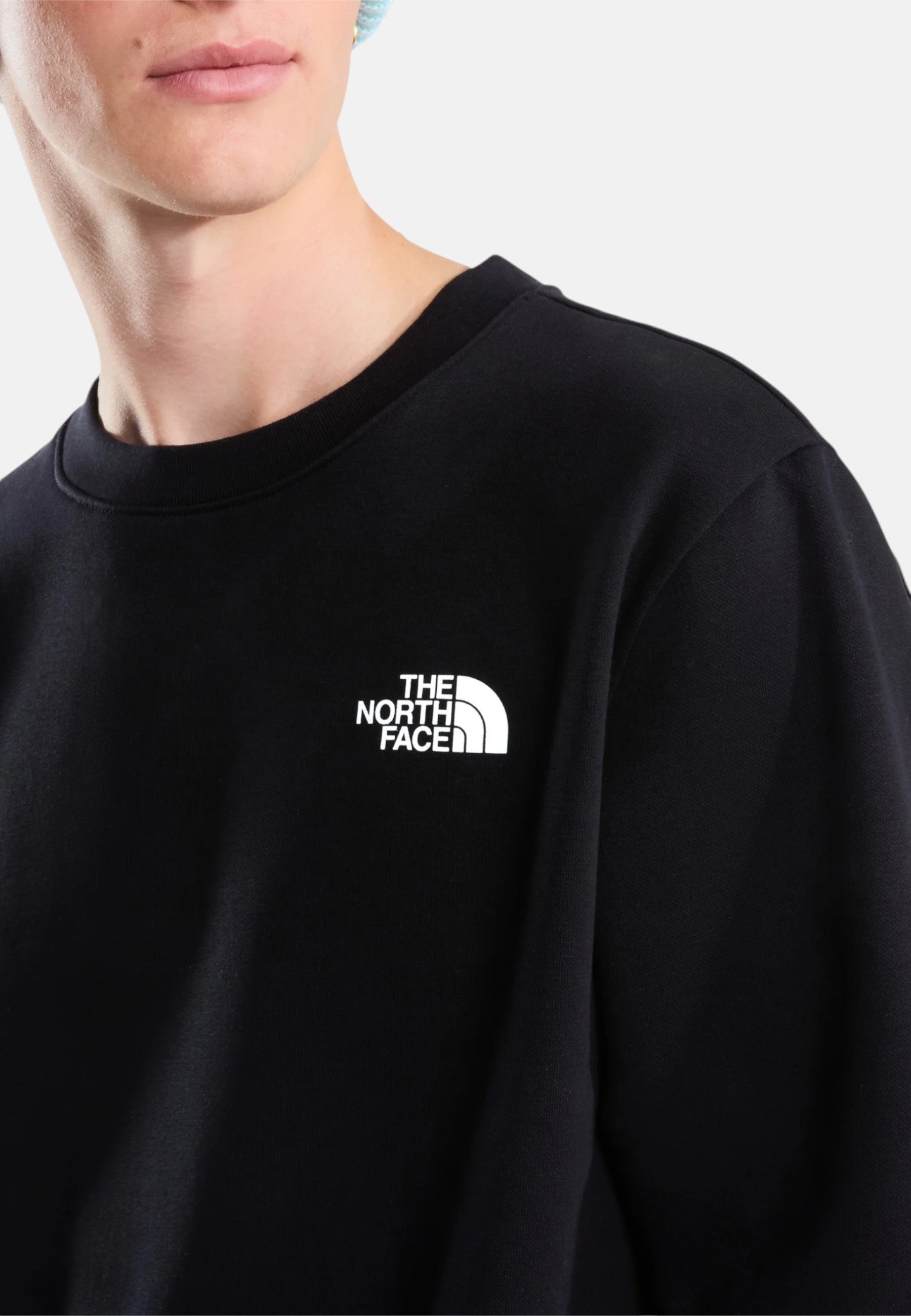 Felpa Evolution Box NSE Regular da uomo The North Face Black