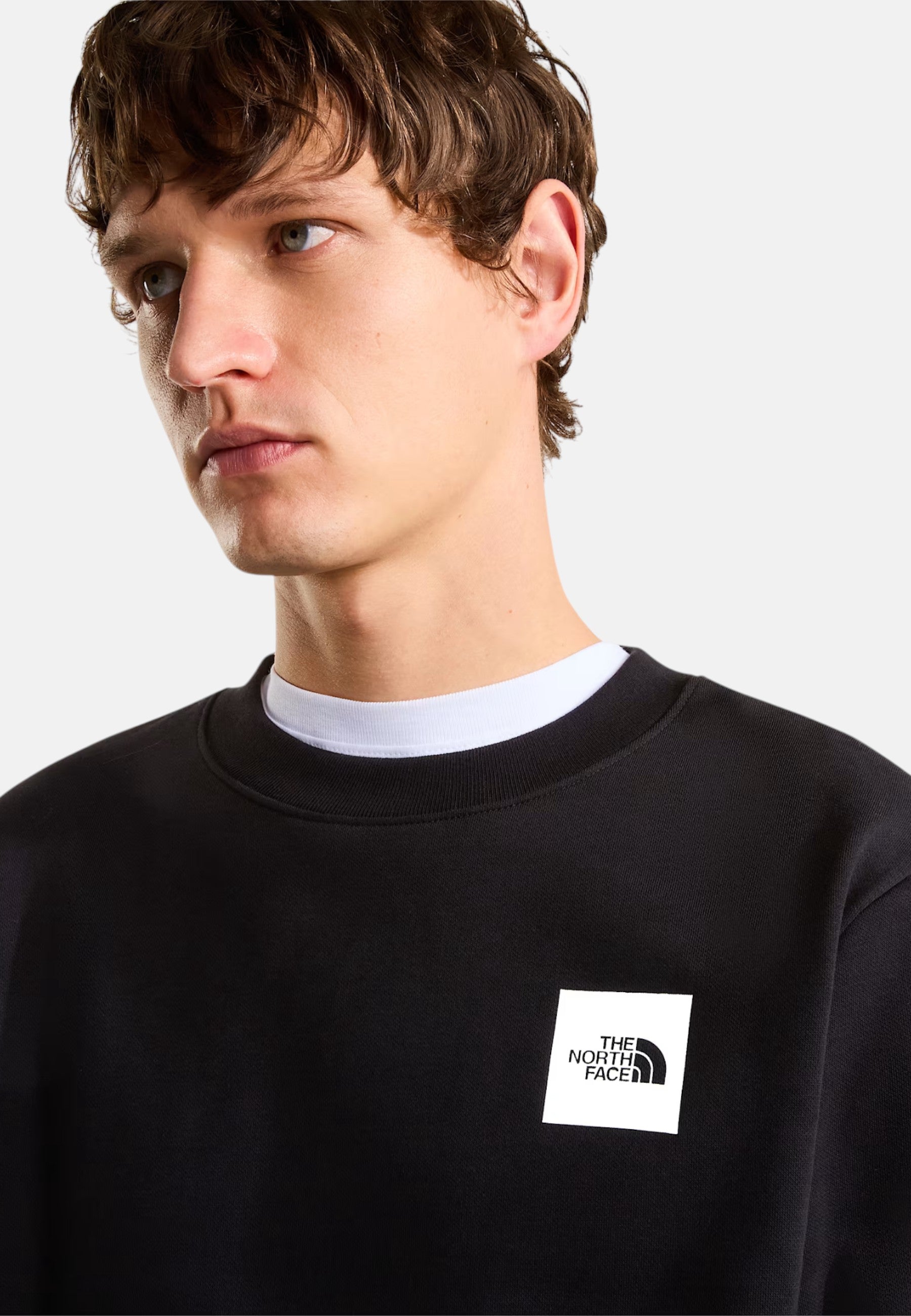 Felpa Box Half Dome Regular da uomo The North Face Black