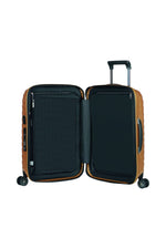 Bagaglio a mano Samsonite CW6*06001