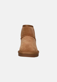TAN