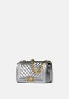 SILVER / LIGHT GOLD